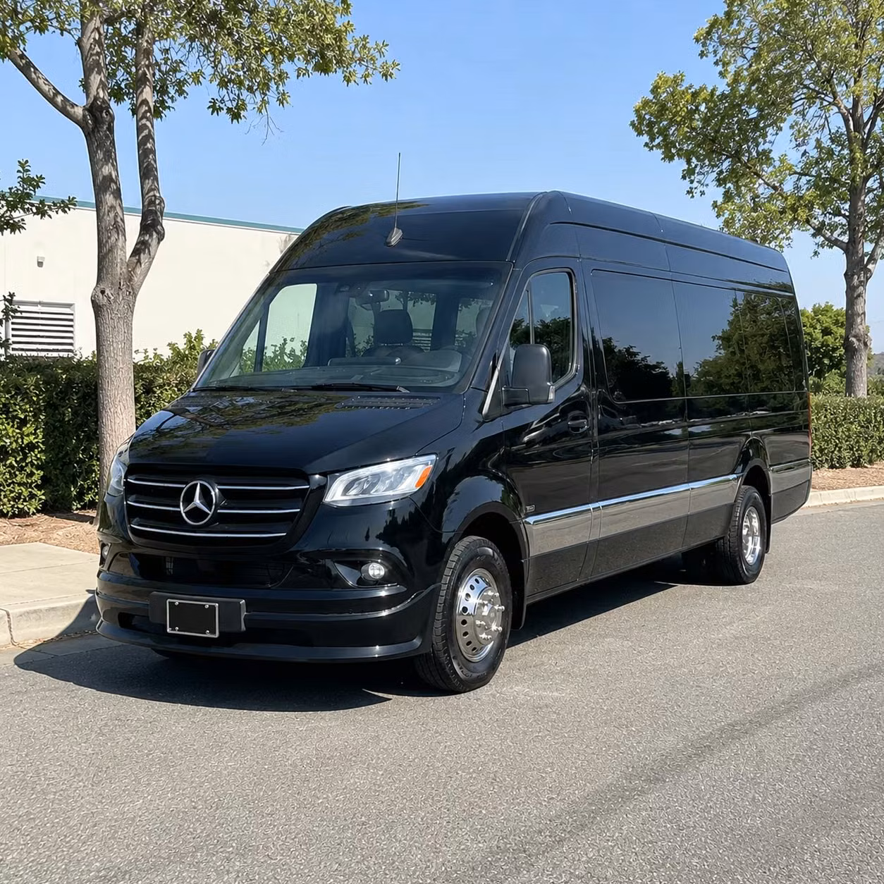 sprinter van with driver